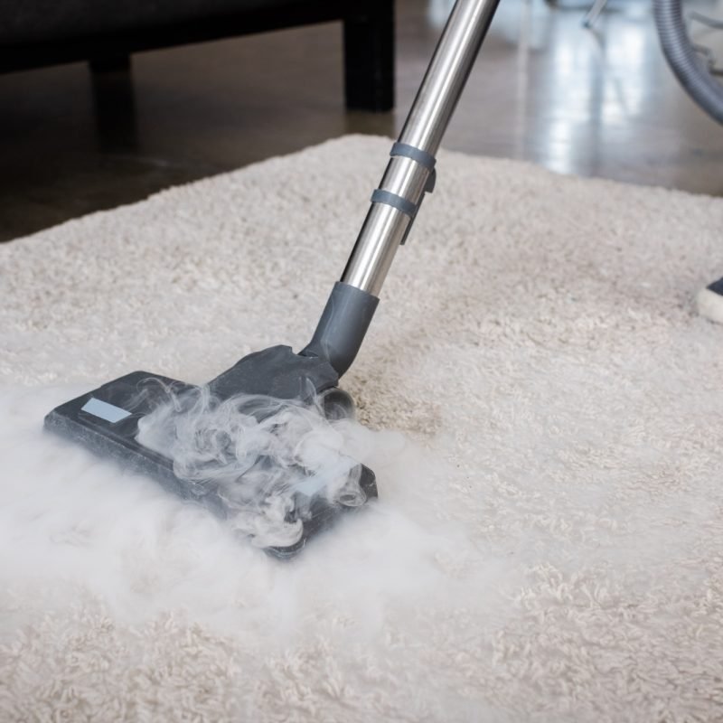 Cropped view of cleaner using vacuum cleaner with hot steam on carpet at home